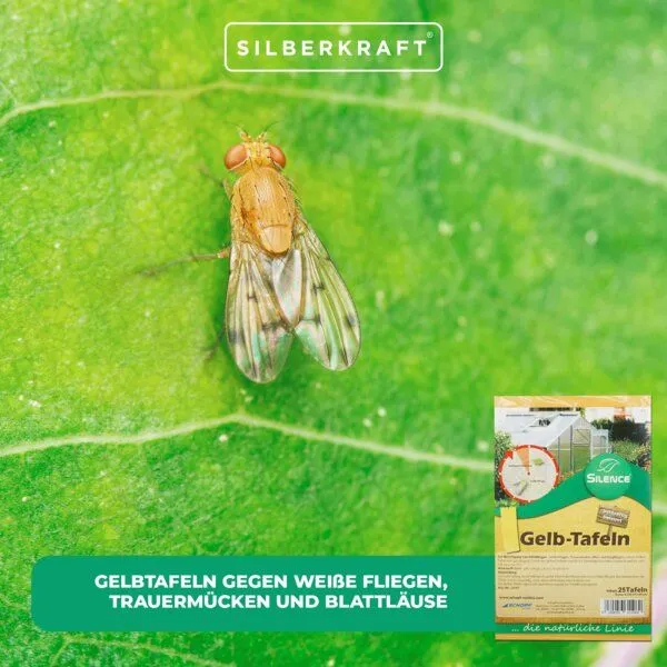 Silberkraft Silberkraft Silence Gelbtafeln (groß): Optimales Monitoring gegen weiße Fliegen, Trauermücken und Blattläuse – Produktbild 4 von 4