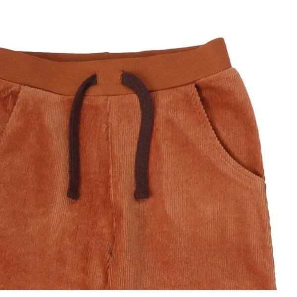 Walkiddy Jogginghose Cord Braun aus GOTS-zertifizierter Bio-Baumwolle – Walkiddy – Produktbild 3 von 3