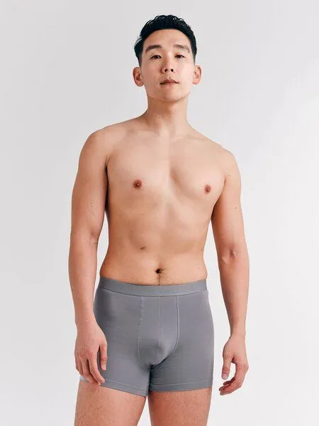 erlich textil erlich textil Casual Cotton Pants im 3er Pack, enge Boxershorts aus Bio-Baumwolle, made in Europe, Steingrau, – Produktbild 6 von 8