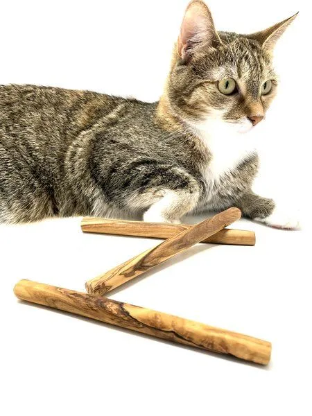 Olivenholz erleben Olivenholz erleben Kauknochen aus Olivenholz für kleine Hunde oder Katzen (3er Set) – Produktbild 1 von 4