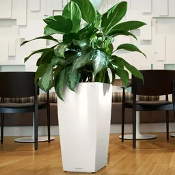 Lechuza® Lechuza® 'Cubico Premium 30', weiß, ca. 30 x 30 x H 56 cm – Produktbild 1 von 1
