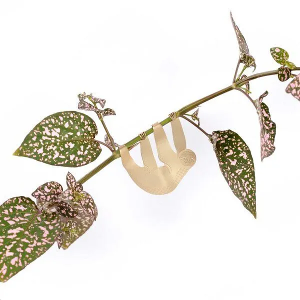 another studio another studio Plant Animal - Design Pflanzendekoration - Figuren aus Messing, Faultier, – Produktbild 3 von 4