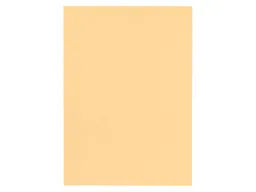 Falken Falken Aktendeckel 250g/m² chamois – Produktbild 1 von 1