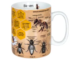 Könitz Könitz Tasse "Wissensbecher Biene" – Produktbild 1 von 1