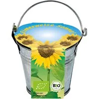 Bio-Mini-Pflanzset "Eimerchen", Sonnenblume – Produktbild 1 von 1