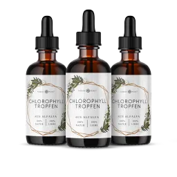 Nordic Pure Nordic Pure Chlorophyll-Tropfen aus Alfalfa 3x100 ml – Produktbild 1 von 1