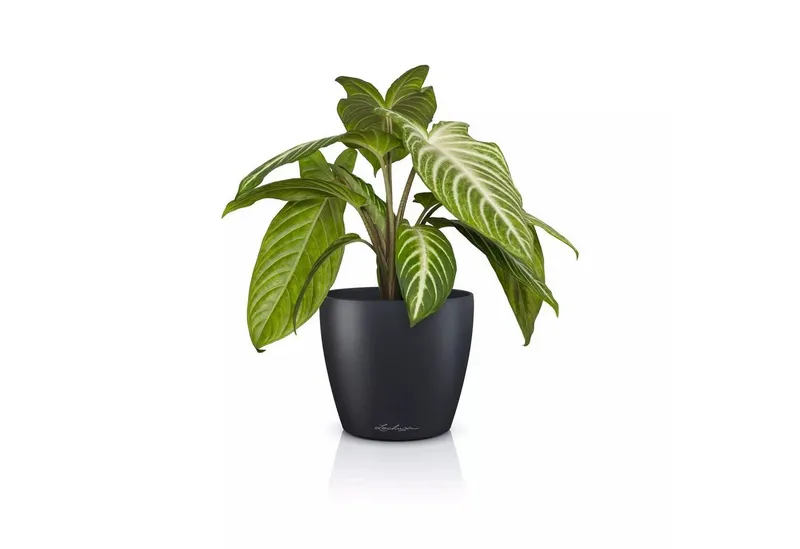 Lechuza® Lechuza® Übertopf Classico Color 14 DECO schiefergrau, Grau, – Produktbild 1 von 5
