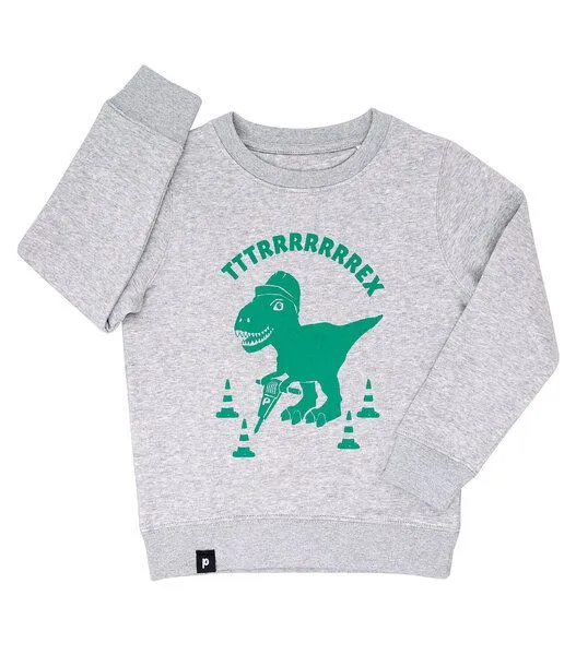 päfjes päfjes Theo Tttrrrrex der Bauarbeiter Dino - Fair Wear Kinder Sweater, Grün, – Produktbild 1 von 2