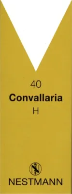 Nestmann Pharma Convallaria H Nr.40 Tropfen 100 ml Tropfen – Produktbild 1 von 1