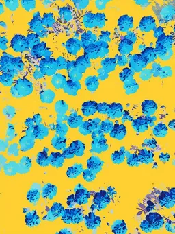 Photocircle Photocircle Poster / Leinwandbild - Bananans & Blue – Produktbild 1 von 1