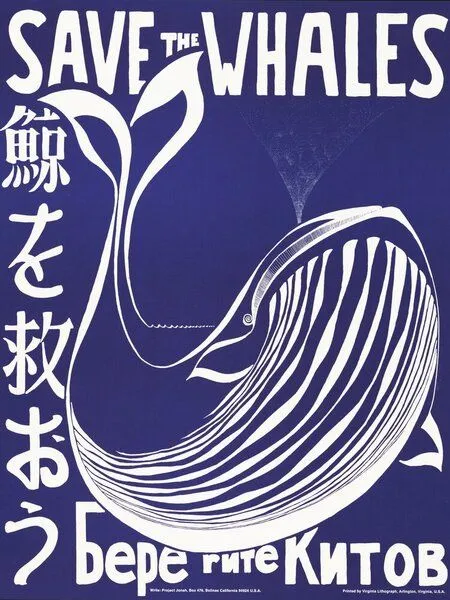 Photocircle Photocircle Poster / Leinwandbild - Save the whales – Produktbild 1 von 4