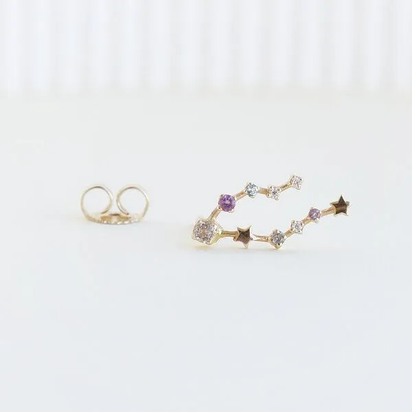 Eppi Eppi Ohrringe mit Sternzeichen Pisces, Gold, – Produktbild 3 von 3