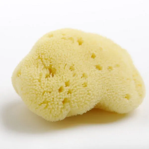 Kulmine Kulmine Menstruationsschwamm • 3 Größen – Produktbild 1 von 1