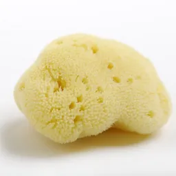 Kulmine Kulmine Menstruationsschwamm • 3 Größen – Produktbild 1 von 1