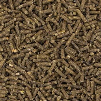 Speed Speed N°1 MultiVital- Feedbox, 12,5 kg – Produktbild 2 von 2
