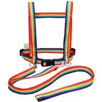 Jamso Pferdeleine und Halfter zum Spielen, Regenbogen Maße 11 x 23 x 6,5 cm – Produktbild 1 von 1