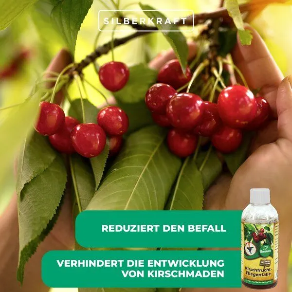 Silberkraft Silberkraft Silence Kirschfruchtfliegenfalle Nachfüllpack – Produktbild 4 von 4