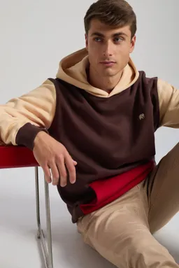 Trendsplant Trendsplant Herren vegan Hoodie Color Block Solemnity Brown – Produktbild 1 von 1