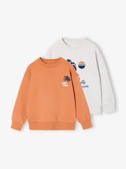 Vertbaudet 2er-Pack Sweatshirts Cool & Fun Jungen  farbe – Produktbild 1 von 1