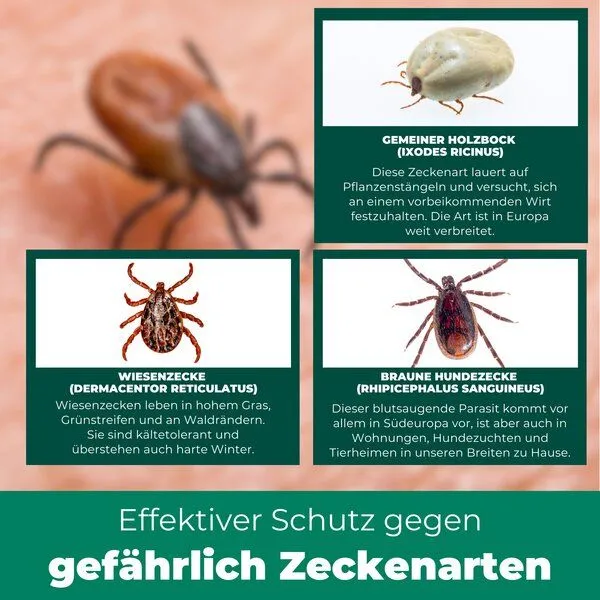 Silberkraft Silberkraft Zeckenzange Zeckenpinzette gegen Zecken – Produktbild 4 von 4