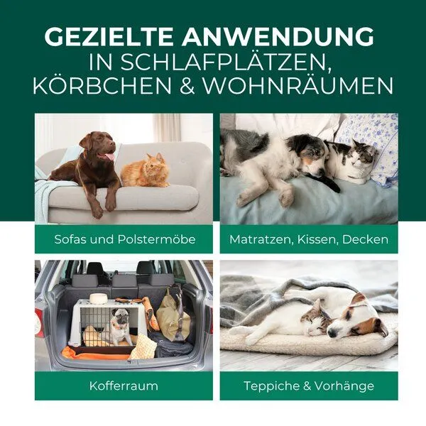 Silberkraft Silberkraft Flohspray Textil & Umgebung inkl. E-Book – Produktbild 3 von 4