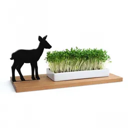Side by Side Side by Side KRESSESCHALE - Smart´n´Green - Reh – Produktbild 1 von 1
