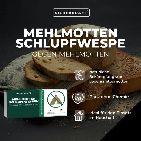 Silberkraft Silberkraft Mehlmottenschlupfwespen gegen Mehlmotten & Lebensmittelmotten Brackwespe Habrobracon hebetor - Schlupfwespen 40 Stück – Produktbild 2 von 4