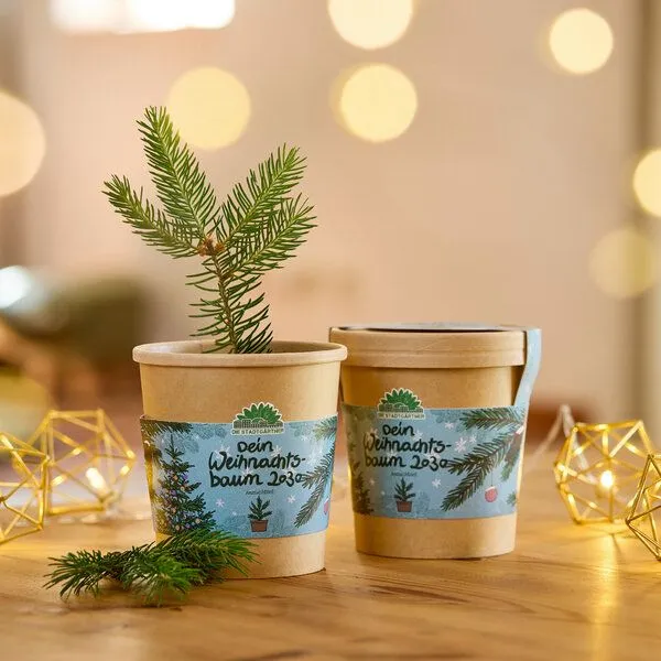 Die Stadtgärtner Die Stadtgärtner Set - 3 Weihnachtliche Anzuchtsets – Produktbild 3 von 4