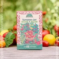 Die Stadtgärtner Die Stadtgärtner BIO-Saatgut-Set "Tomaten" I Saatgut-Set I Geschenk für alle Gartenliebhaber oder Tomatenliebhaber – Produktbild 1 von 1