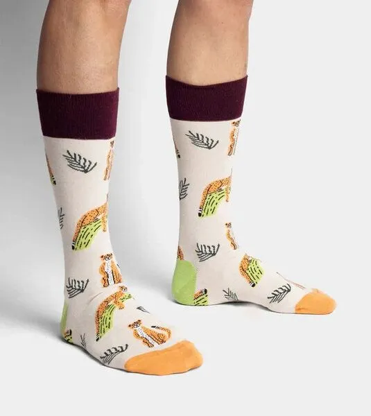 DillySocks DillySocks Socken Chillaxing Cat aus Biobaumwoll-Mix, Mehrfarbig, – Produktbild 3 von 4