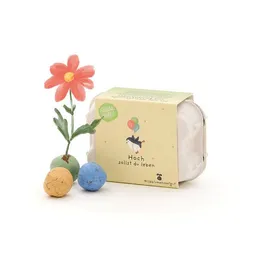 Die Stadtgärtner Die Stadtgärtner 6 bunte Saatkugeln mit Wildblumensaatgut im Mini-Eierkarton | Nachhaltige Geschenkidee zum Geburtstag oder Jubiläum – Produktbild 1 von 1