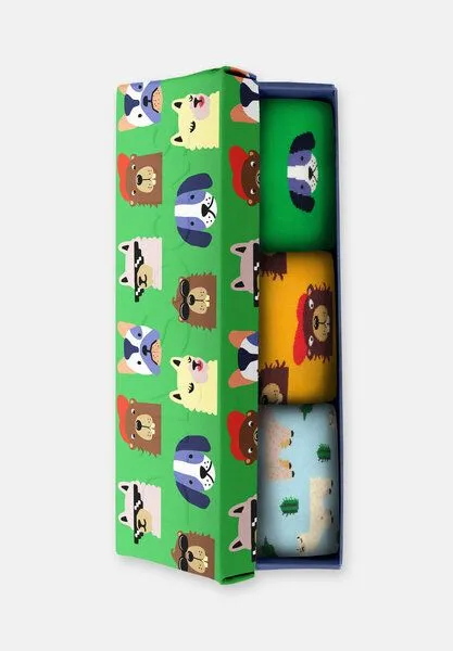 DillySocks DillySocks Socken „Paws & Friends Mit Geschenkbox“, Mehrfarbig, – Produktbild 2 von 4