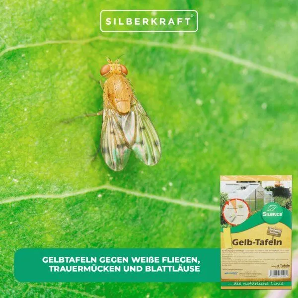Silberkraft Silberkraft Silence Gelbtafeln – Produktbild 4 von 4