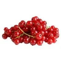 Deutschland Johannisbeeren, rot – Produktbild 1 von 1