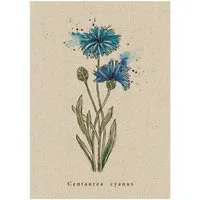 matabooks matabooks® Vintage botanische A6 Postkarte mit Blumenmotiv aus nachhaltigem Graspapier – Produktbild 1 von 1