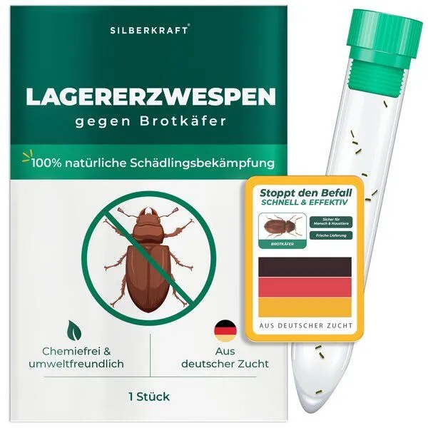 Silberkraft Silberkraft Lagererzwespen gegen Brotkäfer, Tabakkäfer, Kugelkäfer, Messingkäfer (Lariophagus distinguendes, Anisopteromalus calandrae) – Produktbild 1 von 4