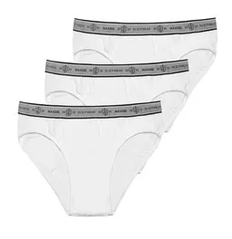 Haasis Bodywear Haasis Bodywear Herren Slip ohne Eingriff Single Jersey 3er Pack,Bio Baumwolle/Elasthan – Produktbild 1 von 1