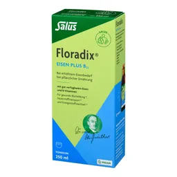 Floradix Floradix Eisen plus B12 vegan – Produktbild 1 von 1