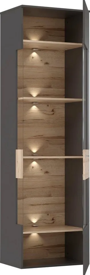 FORTE Vitrine Como Vitrine, Glastüre, LED Beleuchtung, Soft Close Linksanschlag, Grau, – Produktbild 7 von 8