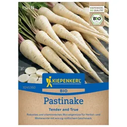 Kiepenkerl Kiepenkerl Bio Pastinakensamen – Produktbild 1 von 1