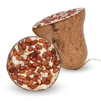 LYRA PET Lyra Pet Energie Boost Futterglocke mit Erdnüssen 8 Stück – Produktbild 1 von 1