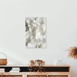 Photocircle Photocircle Poster / Leinwandbild - White Beauty – Produktbild 1 von 1