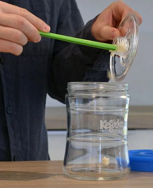 Kefirko Kefir Fermenter zur Herstellung von Kefir (Milchkefir, Wasserkefir), Hellblau, – Produktbild 4 von 4