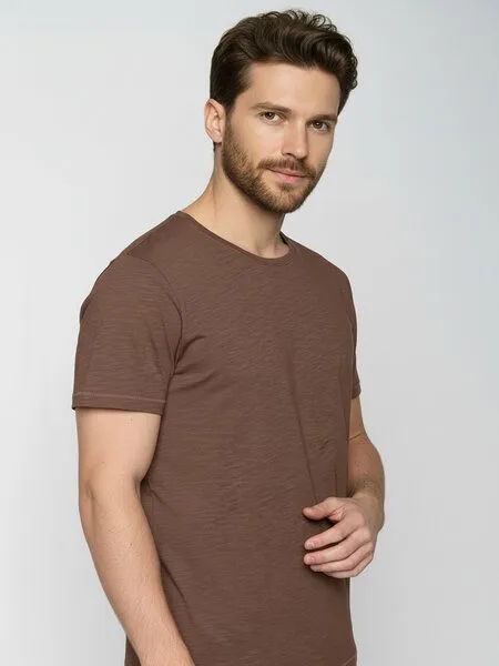GreenBomb GREENBOMB Basic Spice - Sportliches T-Shirt aus Bio-Baumwolle / GOTS / Fair & Vegan, Braun (earth wood), – Produktbild 2 von 4