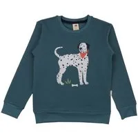 Walkiddy Kinder Sweatshirt Bio-Baumwolle grün Walkiddy Green, GOTS-zertifiziert, weich und robust, vegan, fair produziert, perfekter Alltagsbegleiter für Kindergarten und Schule – Produktbild 1 von 1