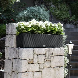 Lechuza® Lechuza® 'Balconera Cottage 80', granit, ca. 79 x 19 x H 19 cm – Produktbild 1 von 1