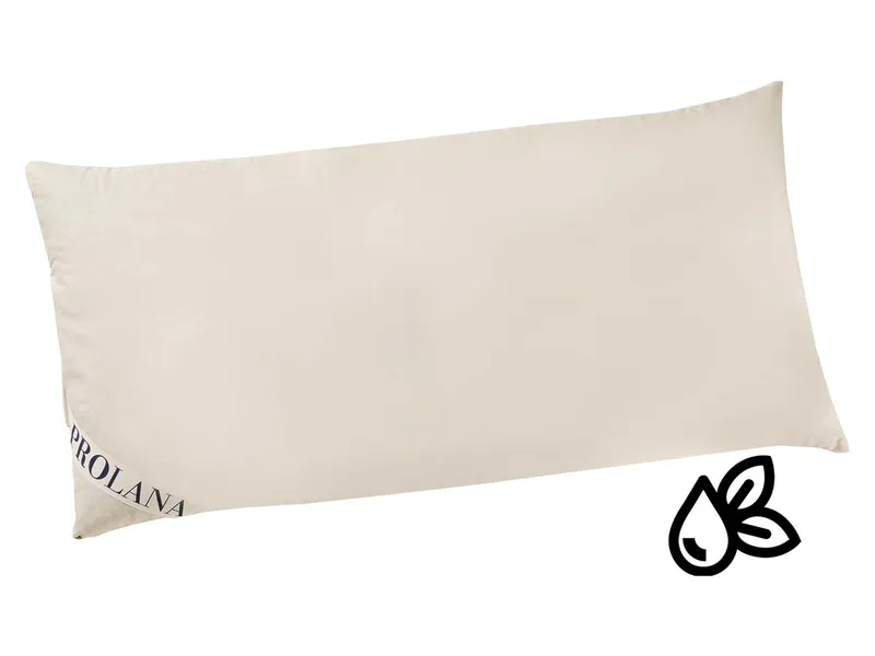 Prolana Prolana Kautschuk-Flocken-Kissen 40x80cm S.1600g – Produktbild 1 von 1