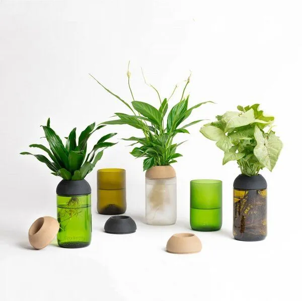 CitySens CitySens Transparenter Pflanztopf, Ebenholz / bernstein, – Produktbild 2 von 4