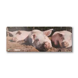 roots of compassion roots of compassion Portemonnaie vegan mit Schweinen - Wallet aus Tyvek – Produktbild 1 von 1