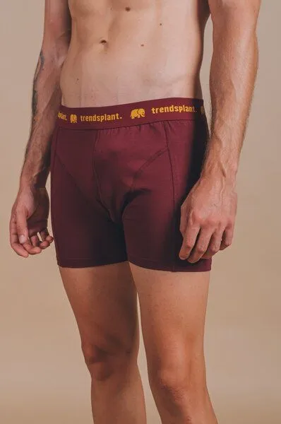 Trendsplant Trendsplant Organic Essential Boxer Briefs Burgundy, Rot, – Produktbild 2 von 4